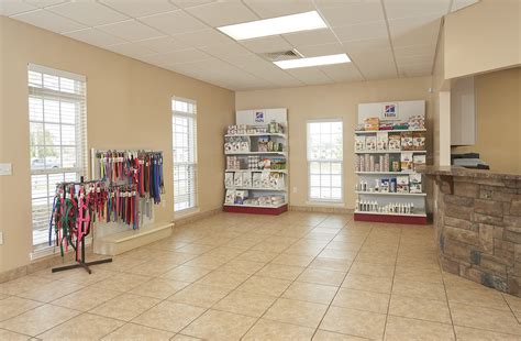 pattersonvet|patterson vet bill pay.